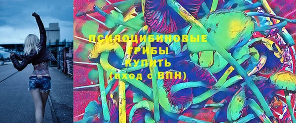 ПСИЛОЦИБИНОВЫЕ ГРИБЫ Снежинск