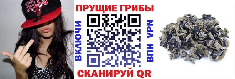 купить наркотик  Анапа  Галлюциногенные грибы Magic Shrooms 