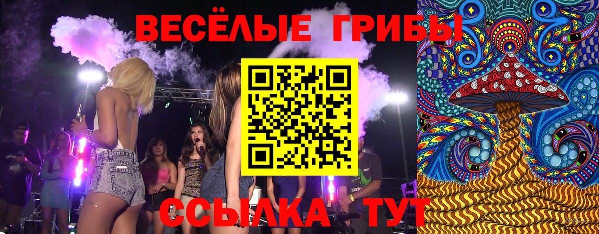 наркотики  Галлюциногенные грибы ЛСД  Анапа  Вход с VPN  Псилоцибиновые грибы Psilocybe 